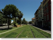 tram grass path